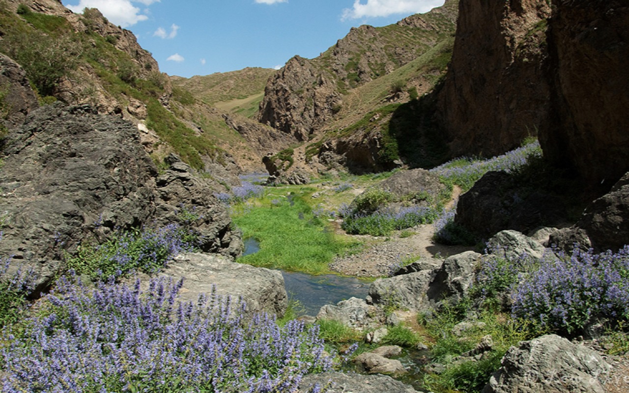 Yol Gorge | Premium Travel Mongolia