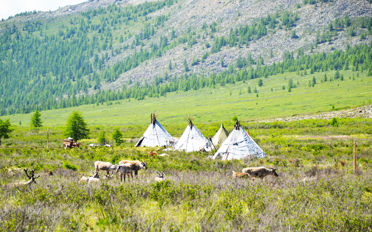 Tsaatan - reindeer riders | Premium Travel Mongolia