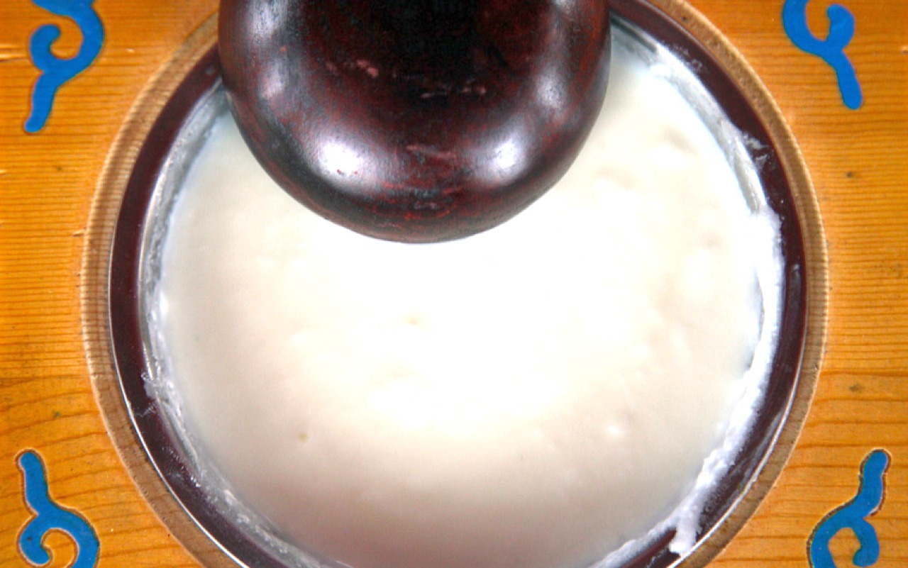 Mongolian yogurt | Premium Travel Mongolia