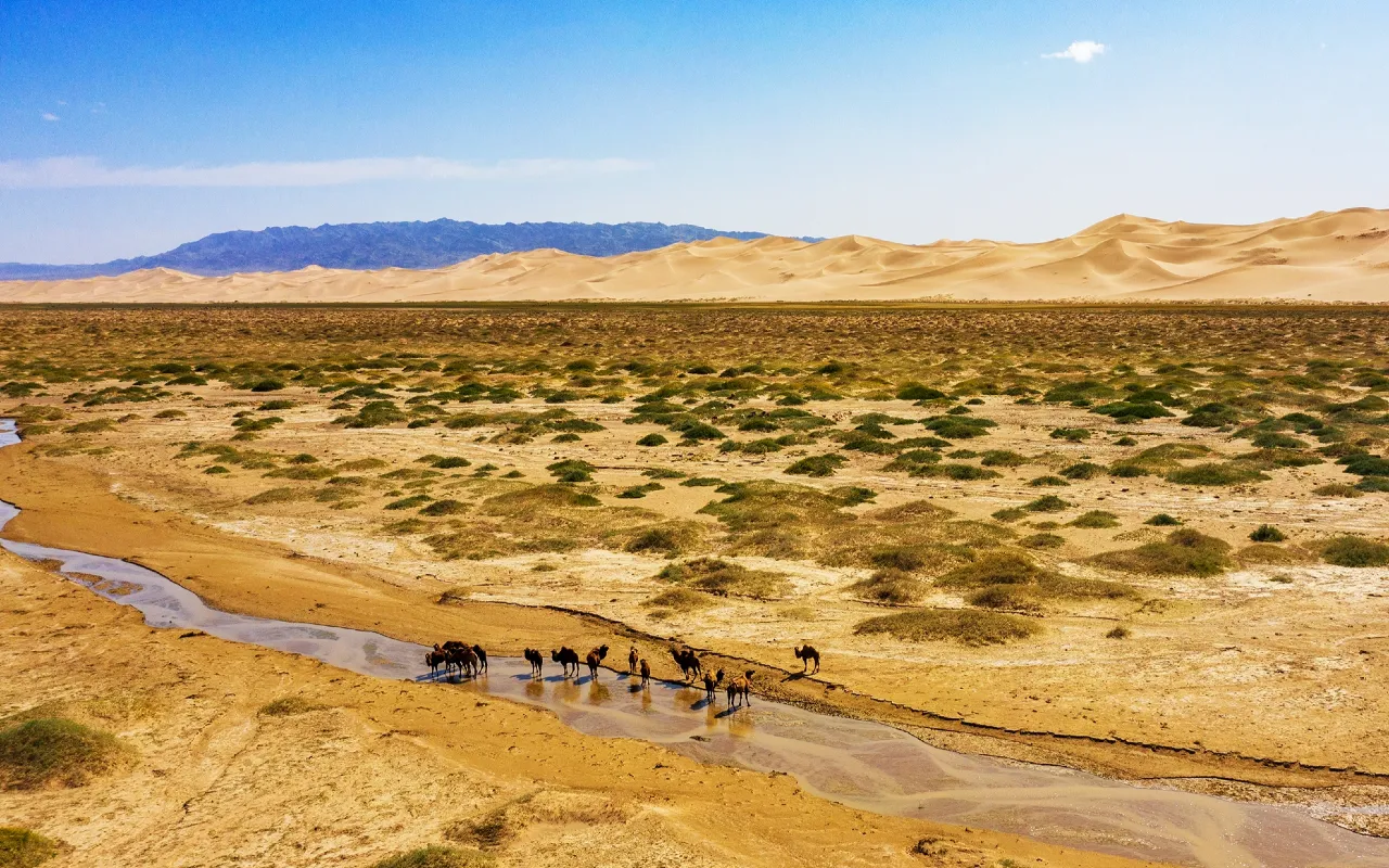 Featured destination | Premium Travel Mongolia