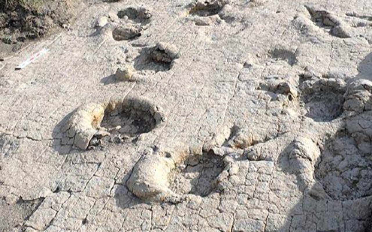120-Million-Year-Old Dinosaur Tracks Found in Central Mongolia | Premium Travel Mongolia