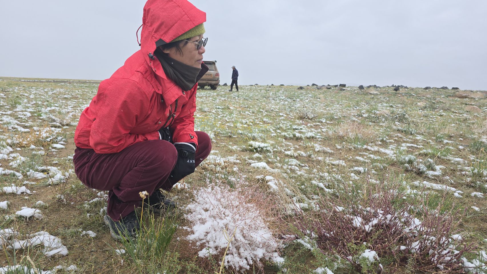 Snow in the Gobi desert