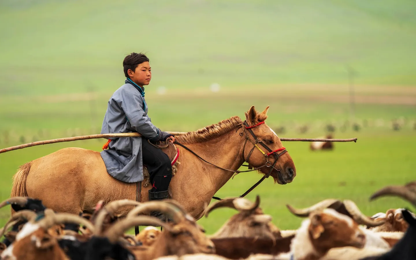 POPULAR TOURS | Premium Travel Mongolia