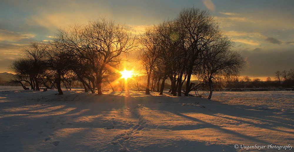 Peaceful evening at Terelj National Park | Premium Travel Mongolia
