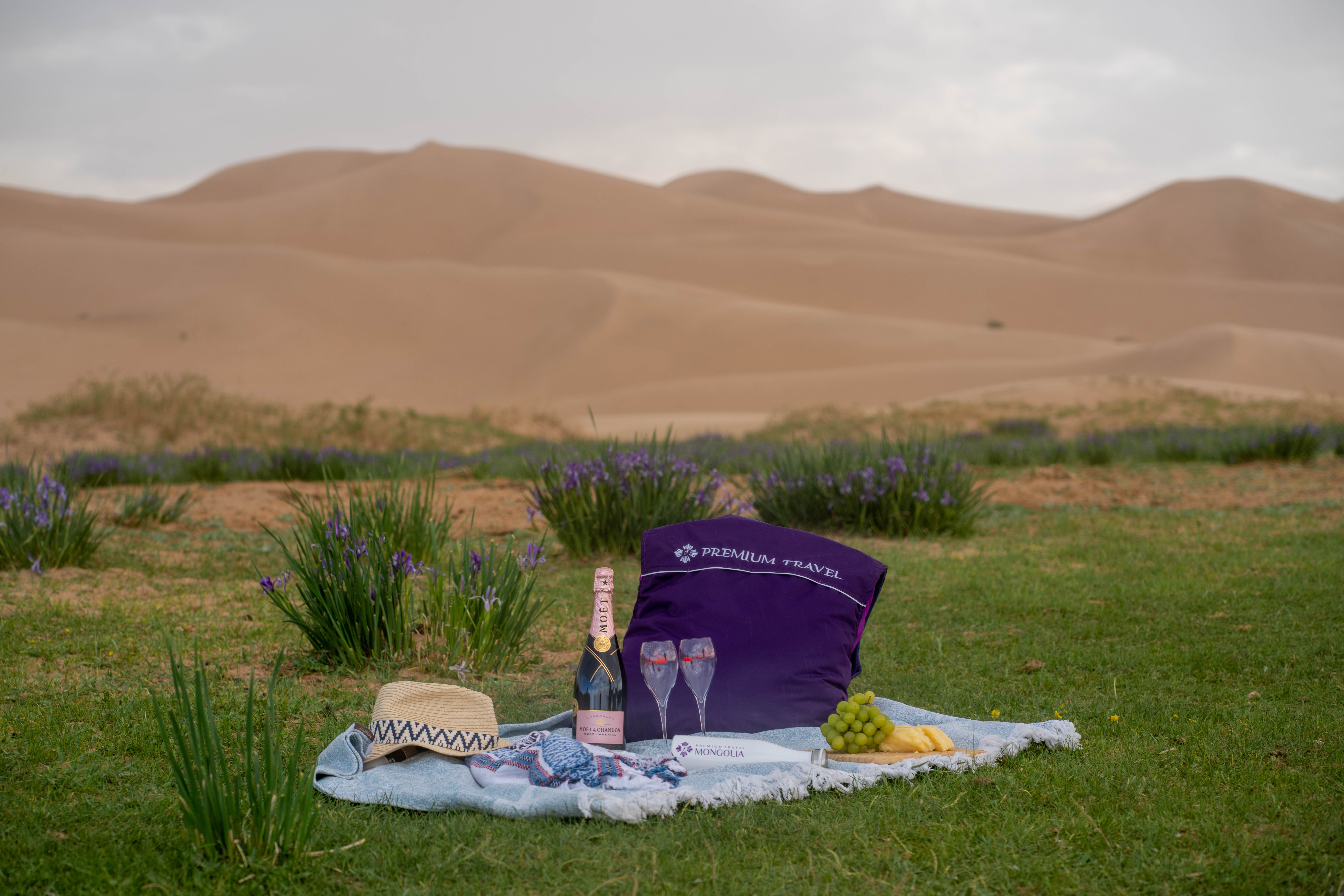 Khongor sand dunes | Premium Travel Mongolia
