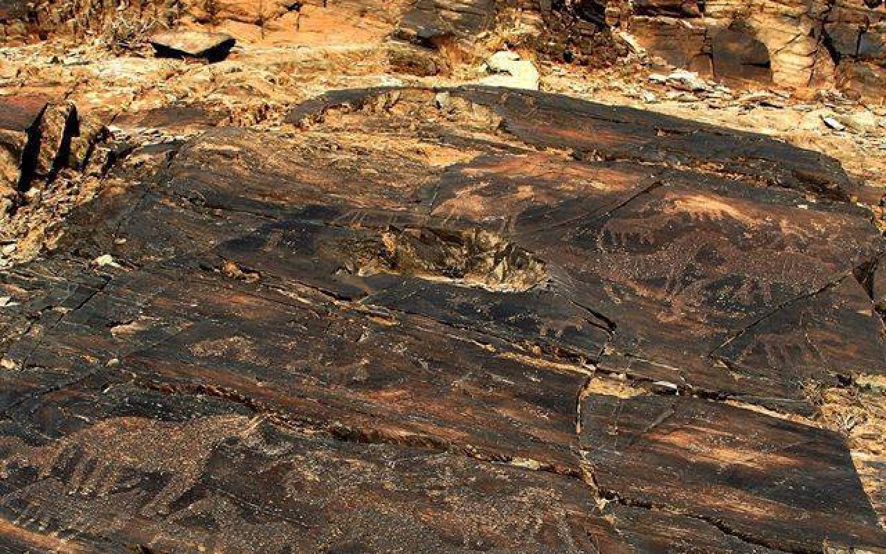 Petroglyph | Premium Travel Mongolia