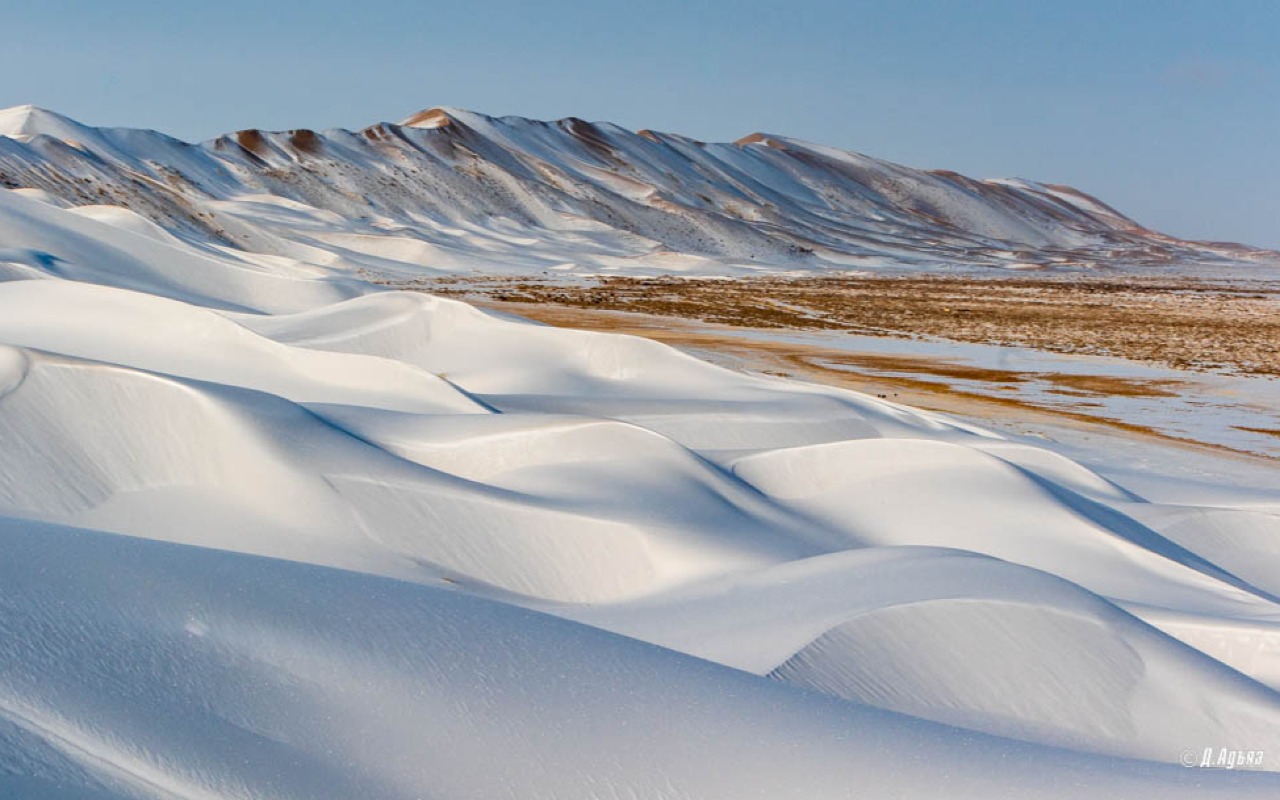 Mighty Khongor sand dunes. Photo credit to Adiya.D | Premium Travel Mongolia