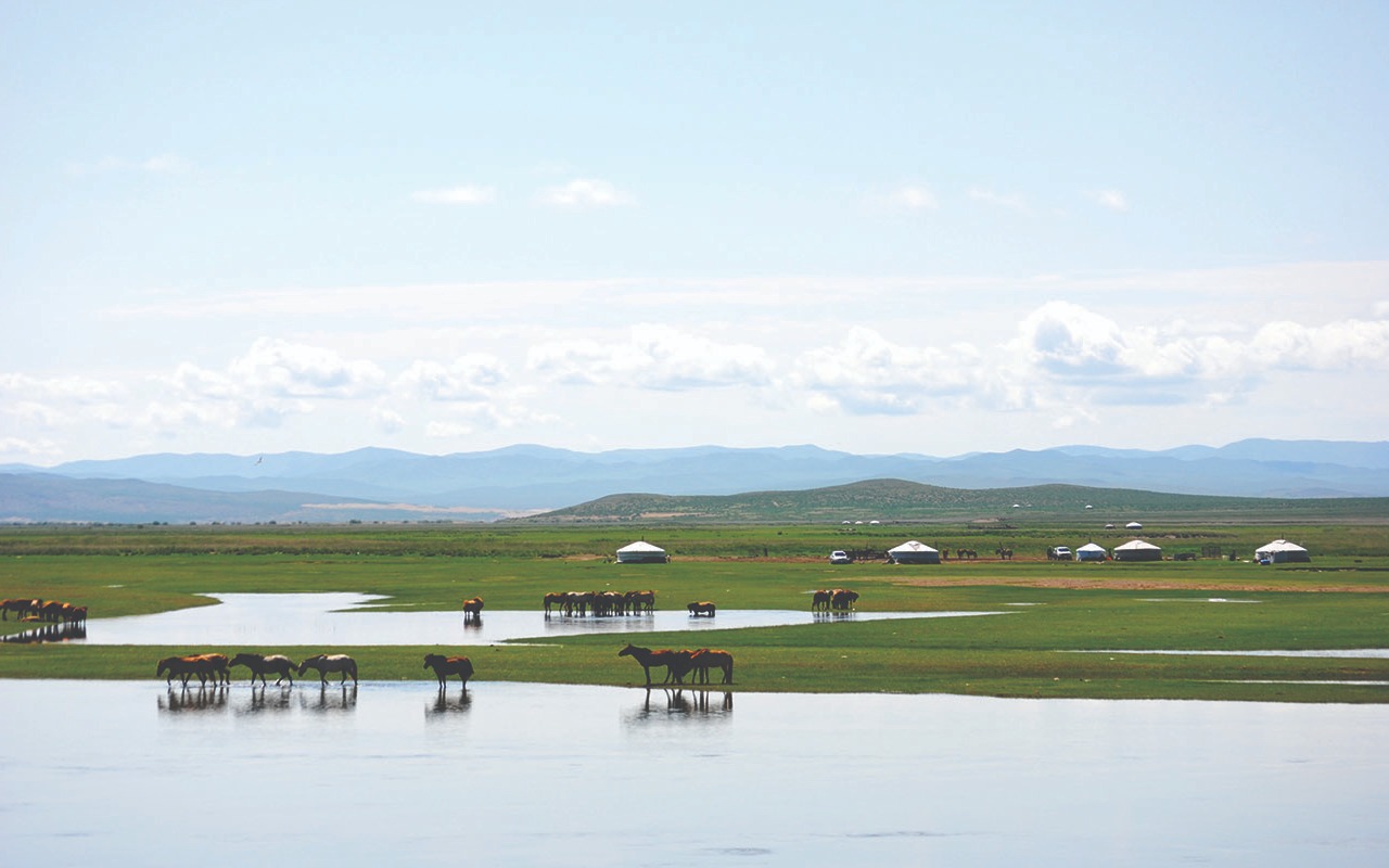 On the way back to Ulaanbaatar | Premium Travel Mongolia